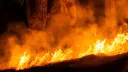 Les pompiers luttent contre un incendie de forêt dans le nord du Maroc
