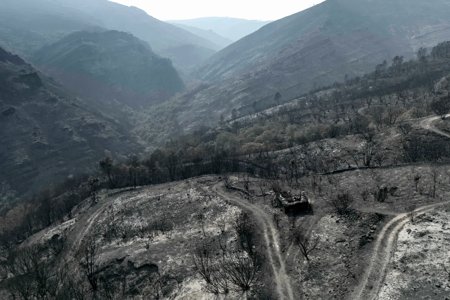 En plena batalla contra los mortales incendios, España vivió la ola de calor más intensa en el país
