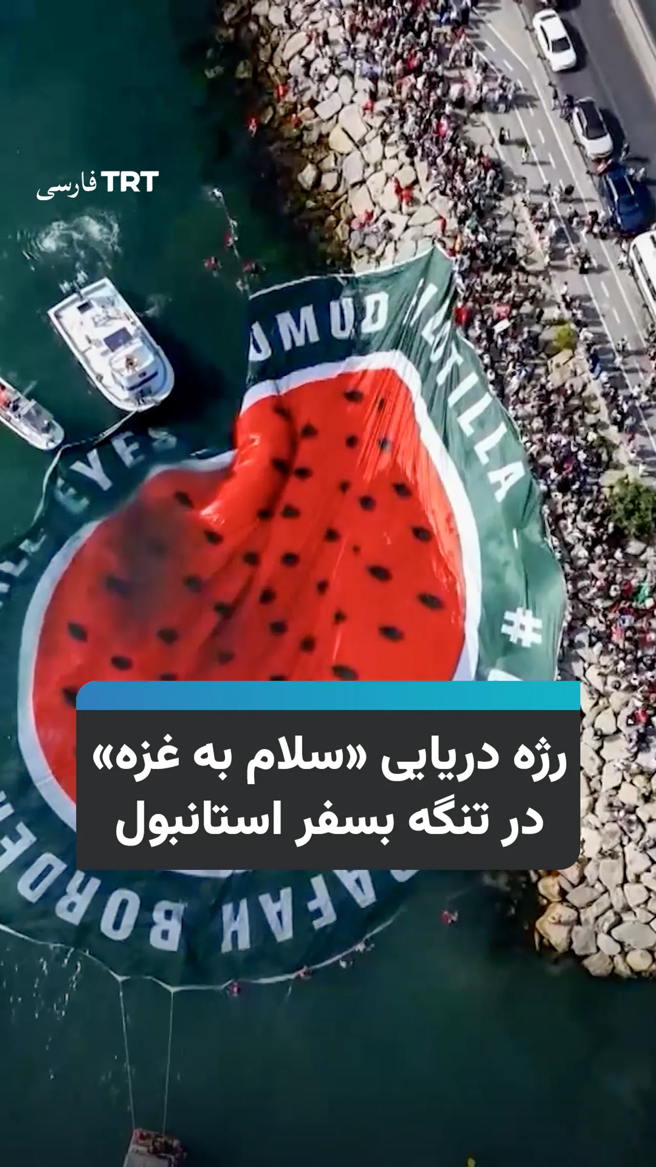 رژه دریایی «سلام به غزه» در تنگه بسفر استانبول