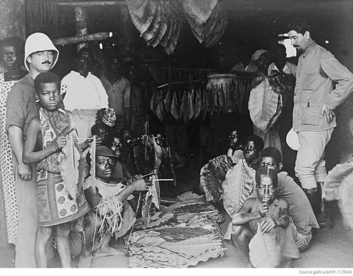 Why Cameroon can't live down the war France refused to name