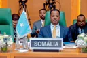 Somalia calls for an end to 'massacre and siege' in Gaza