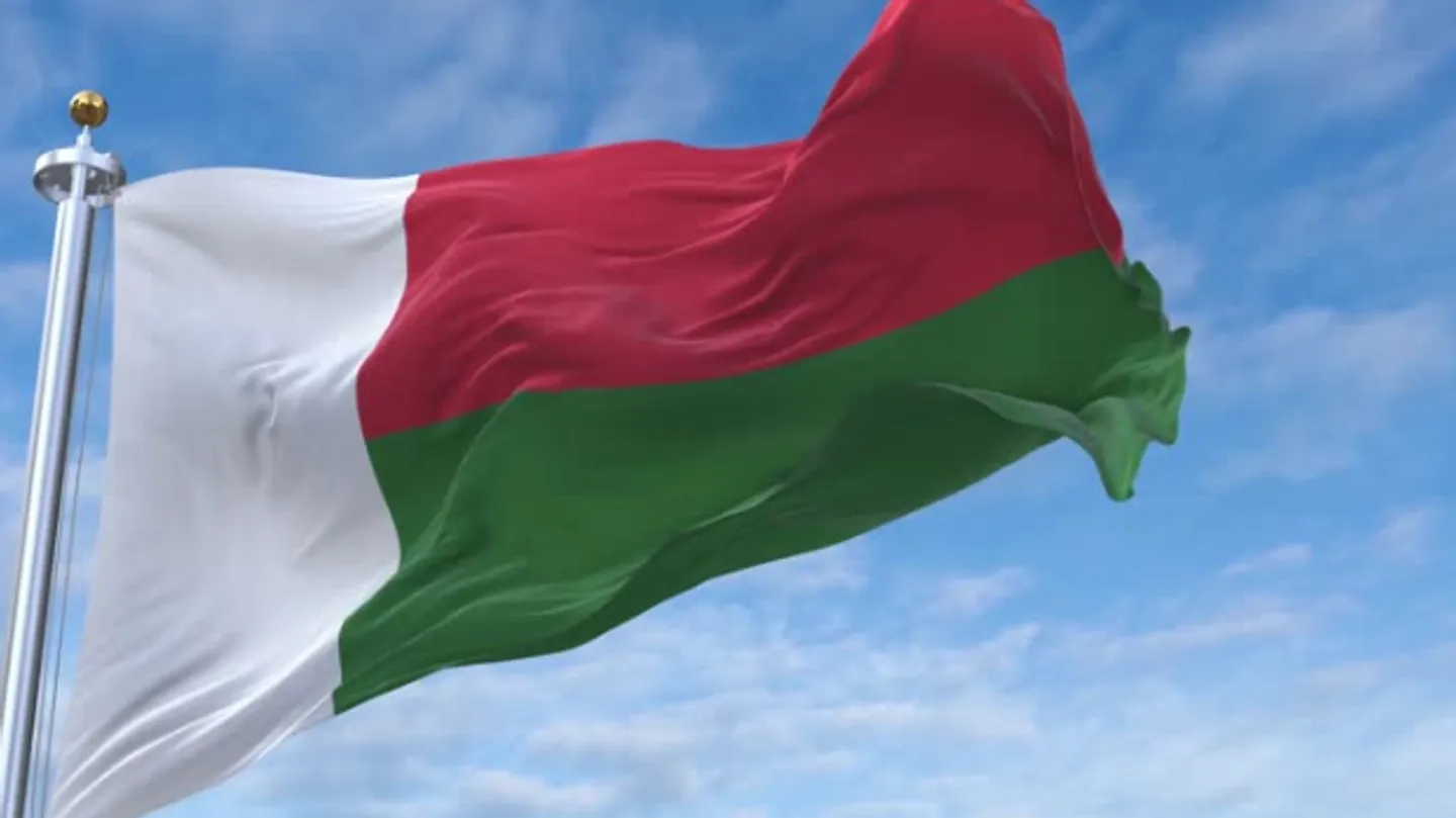 Madagascar recovers colonial-era skulls from France in 'historic' restitution