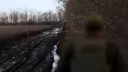 Европа возрождает болота для противостояния РФ