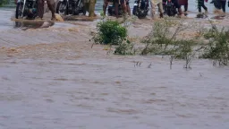 Sagaal qof oo ku naf waayey fatahaado ka dhacay Suudaan
