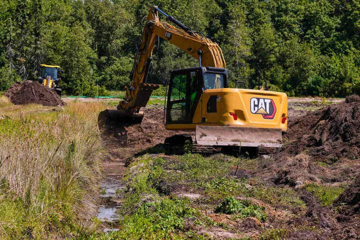 Resten van oerbos ontdekt na opgraven meer