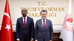 Türkiye-Somalia to cooperate in major investment to unlock Somalia's fisheries potential
