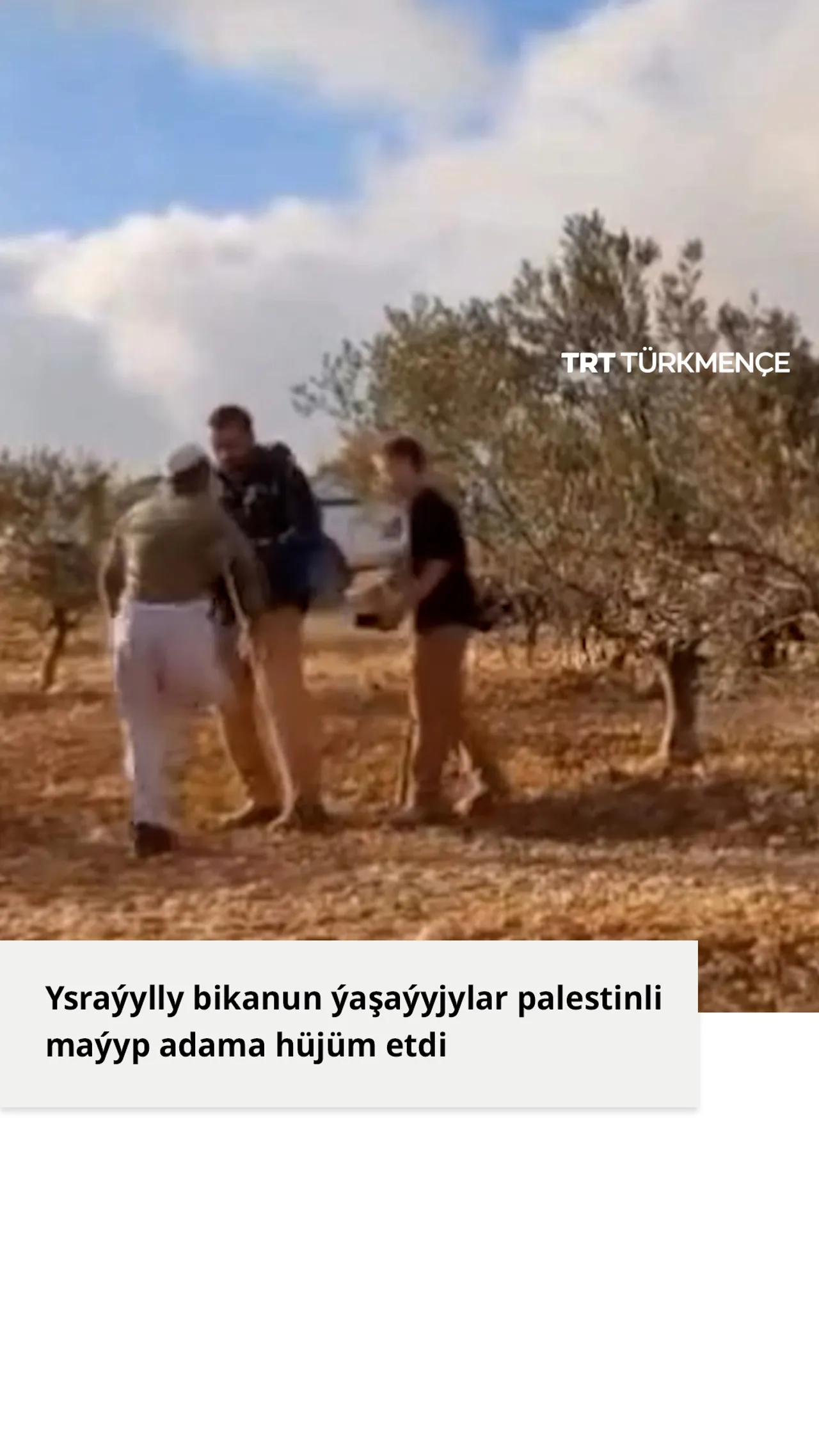 Ysraýylly bikanun ýaşaýyjylar palestinli maýyp adama hüjüm etdi