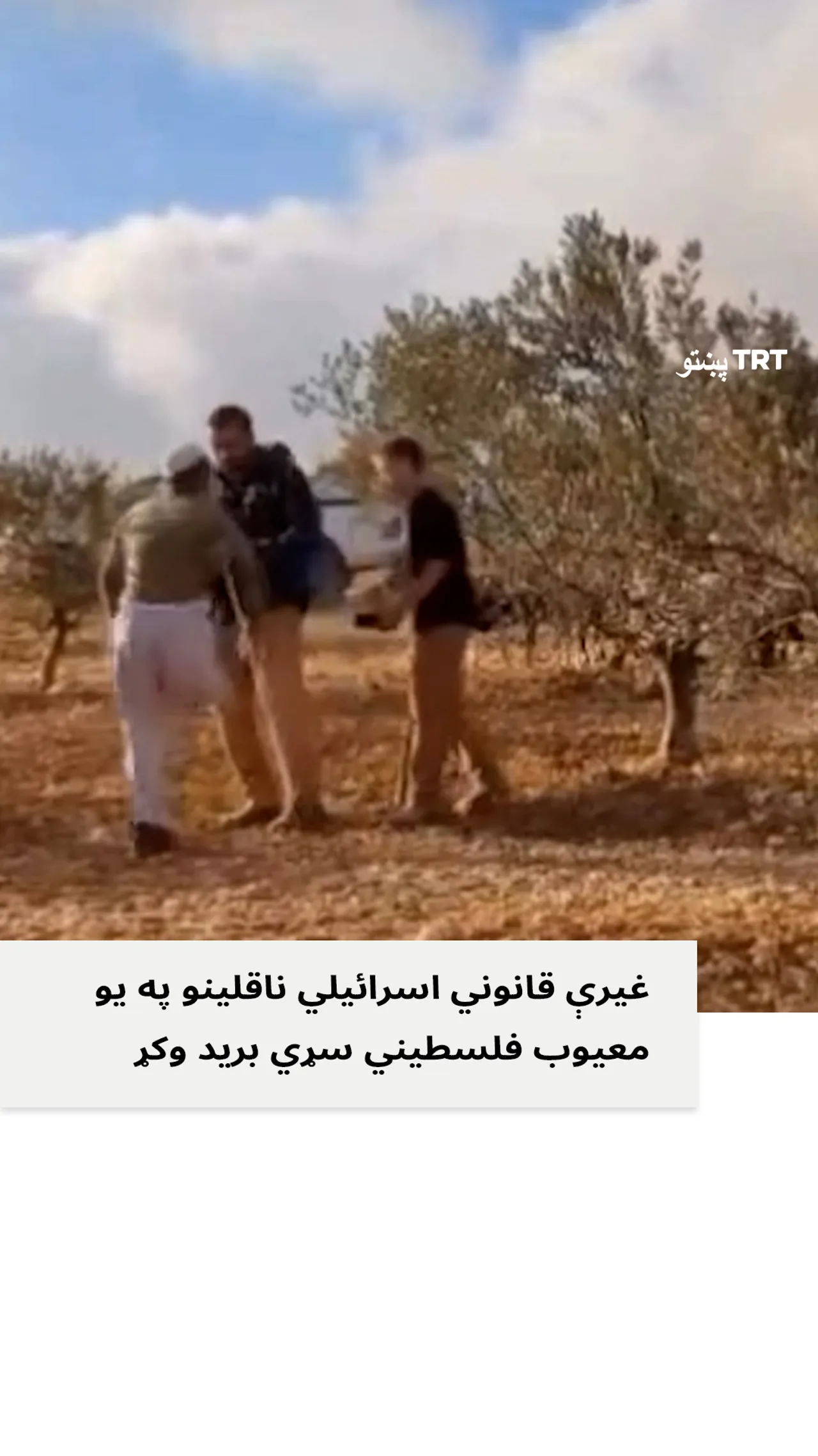 غیرې قانوني اسرائیلي ناقلینو په یو معیوب فلسطیني سړي برید وکړ