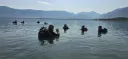 Kosova dhe Shqipëria kryejnë trajnime të përbashkëta për operacione në ujë