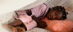 Aid cuts risk surge in global malaria deaths: Global Fund