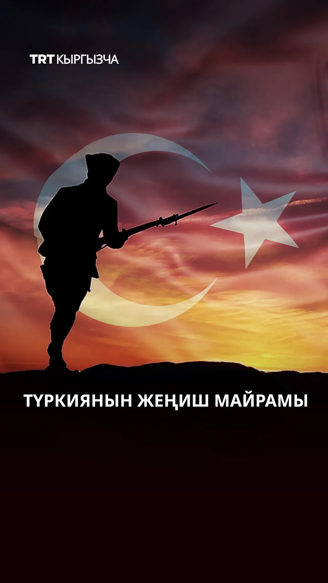 Түркиянын Жеңиш майрамынын 103 жылдыгы