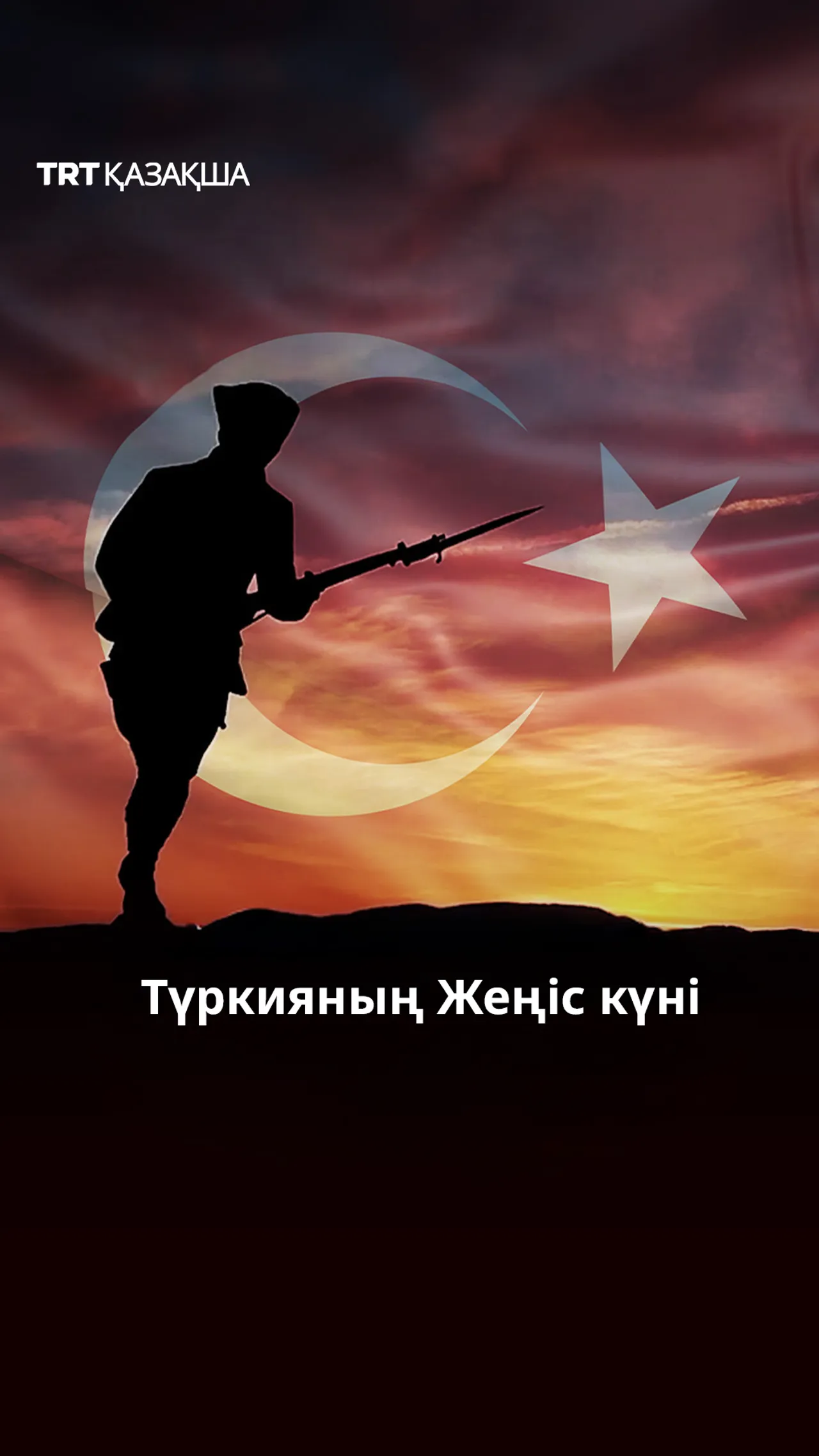 Түркияның Жеңіс күні