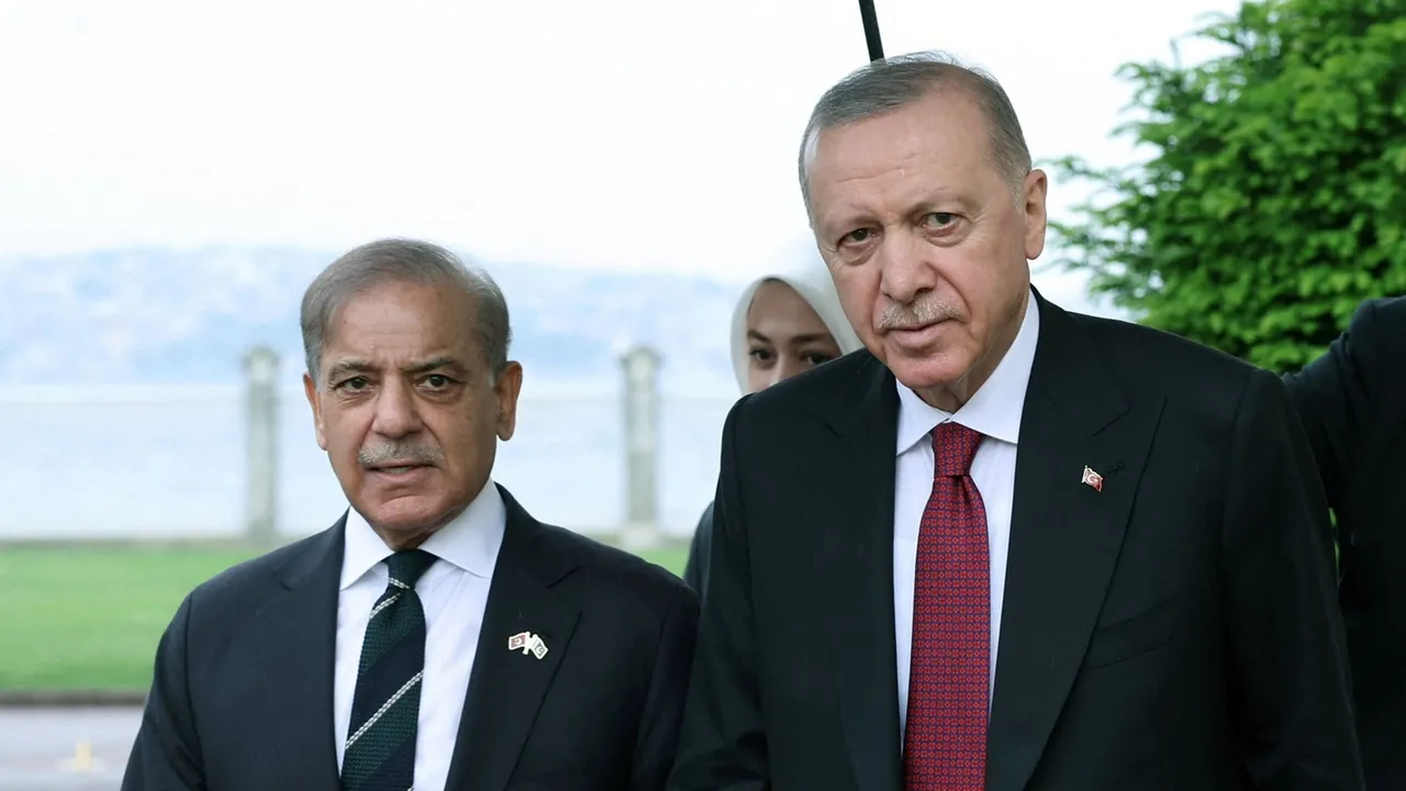 Türkiye, Pakistan to keep cooperating against Israel's genocidal policy in Gaza: Erdogan
