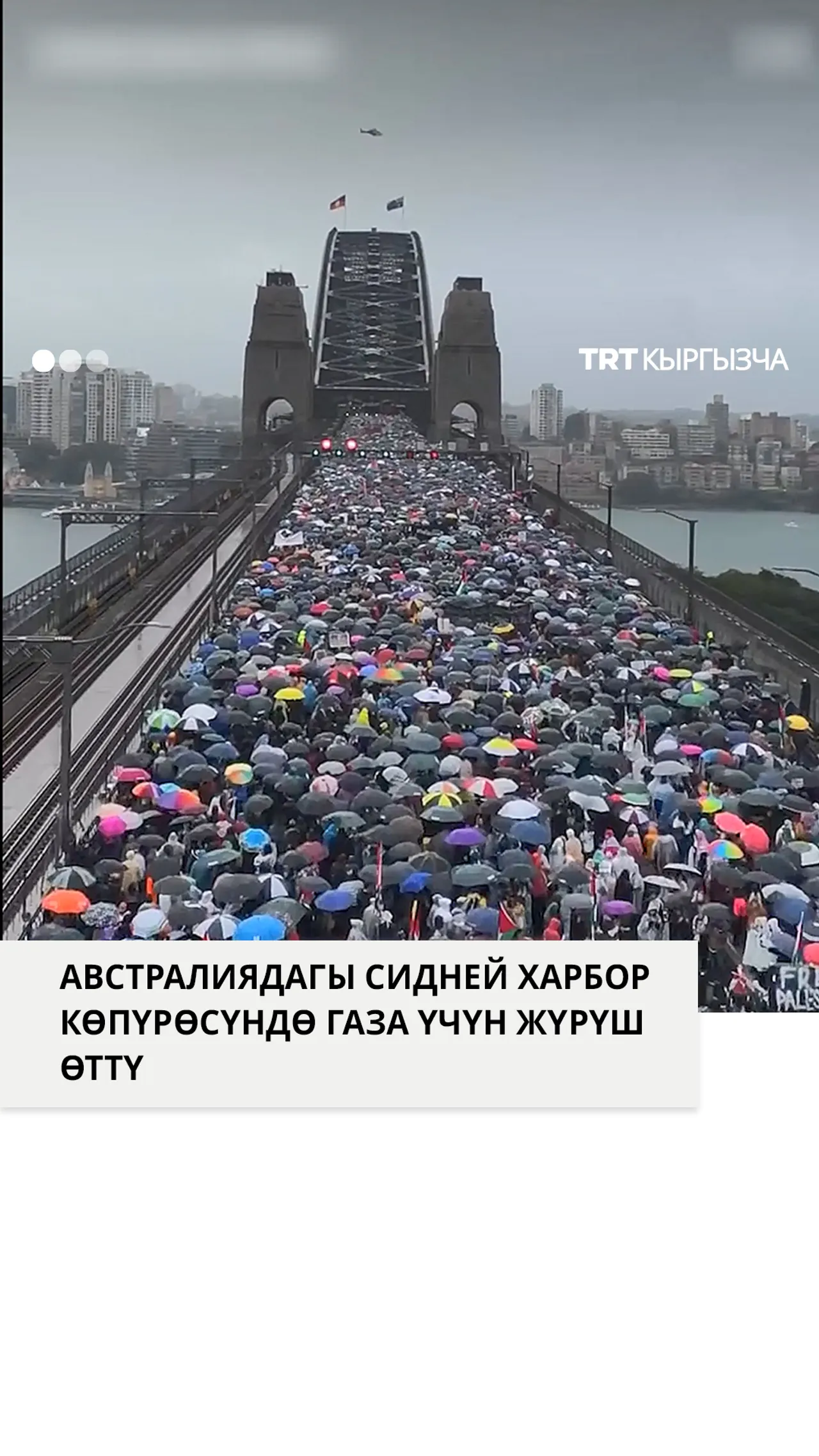 Австралиядагы Сидней Харбор көпүрөсүндө газа үчүн жүрүш өттү