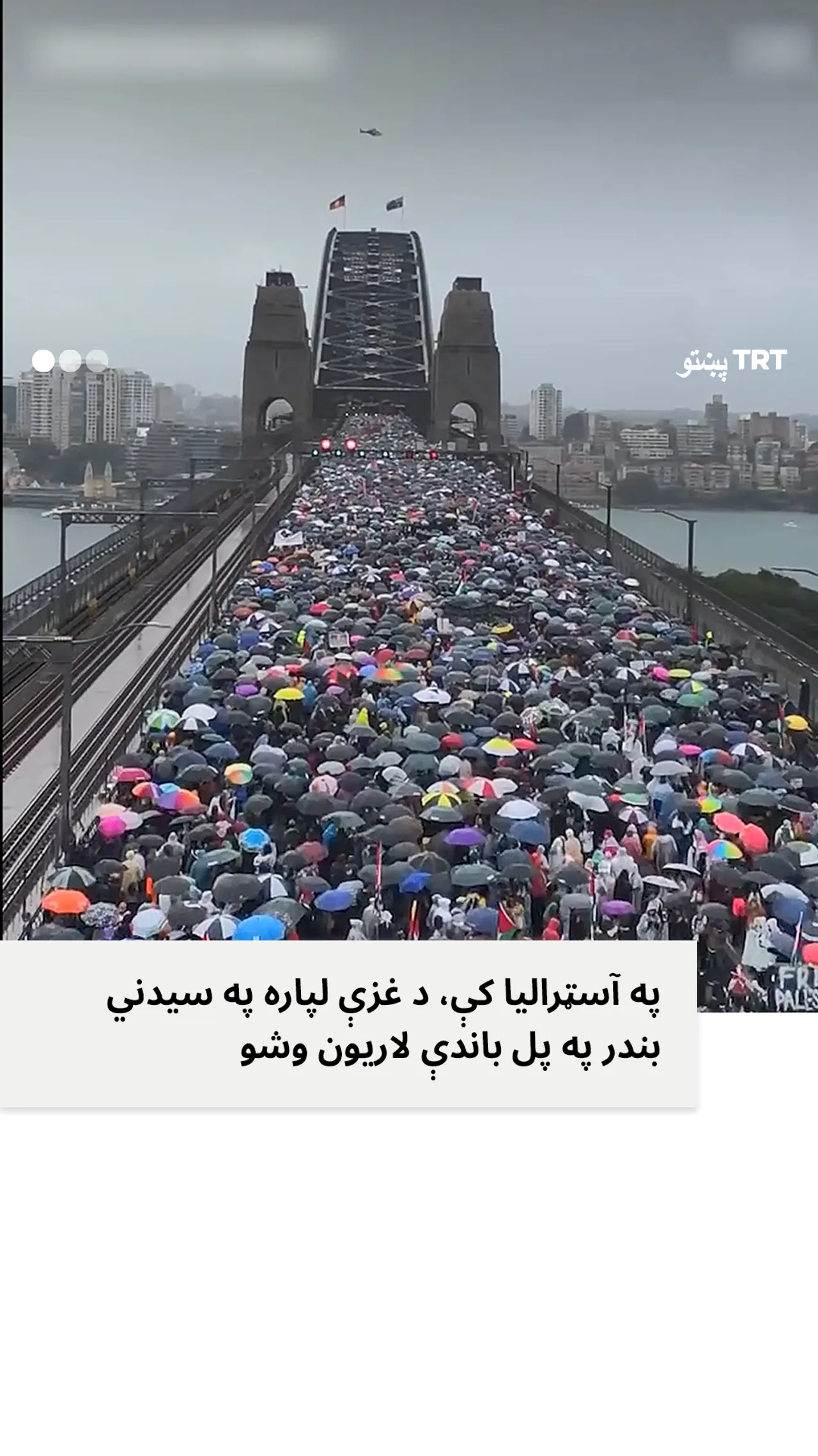 په آسټرالیا کې، د غزې لپاره په سیدني بندر په پل باندې لاریون وشو.