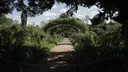 Kopshti i piktorit francez, Claude Monet, tërheq vizitorë nga e gjithë bota