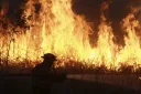 Indonesia menghadapi peningkatan kebakaran hutan, pemerintah diharapkan siap siaga