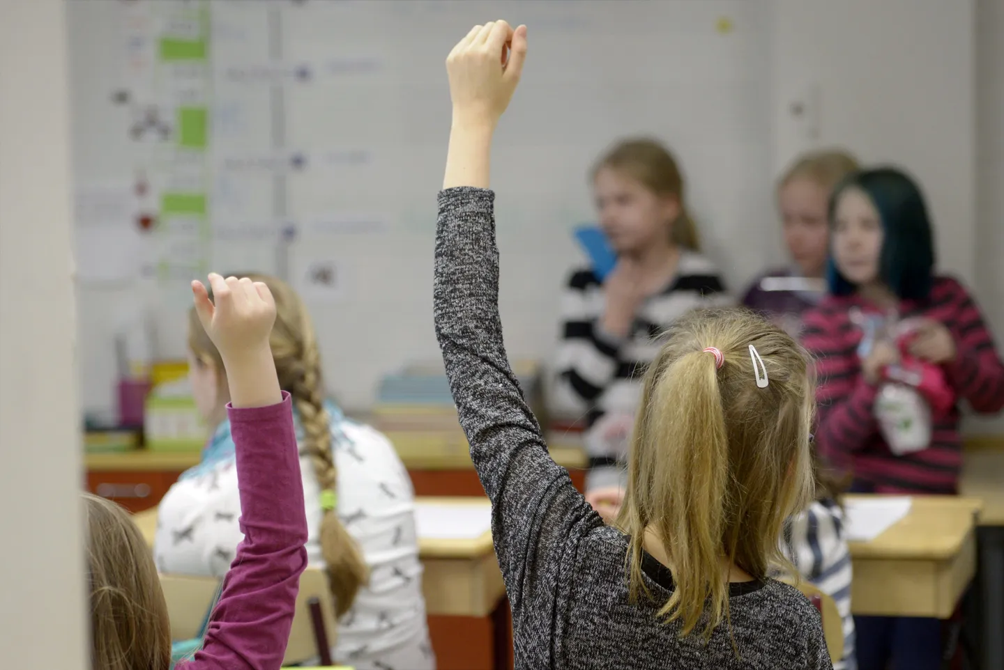 Koulut alkavat Suomessa tällä viikolla uudistusten keskellä