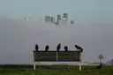 Australia detects another suspected case of deadly H5N1 bird flu