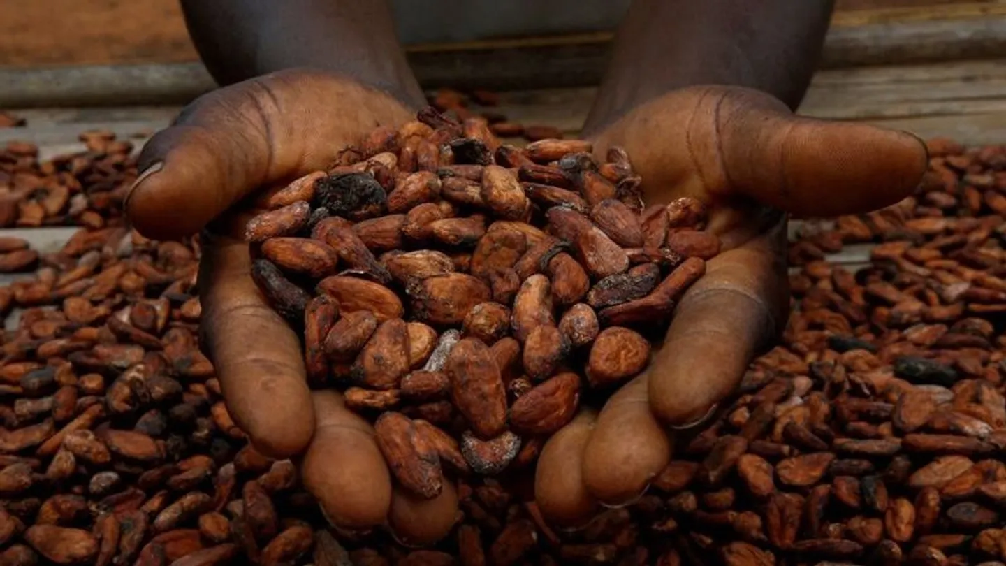 Ghana raises cocoa prices paid to farmers by 63%
