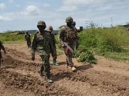 70 Al Shabaab terrorists killed in botched suicide bombing in Somalia