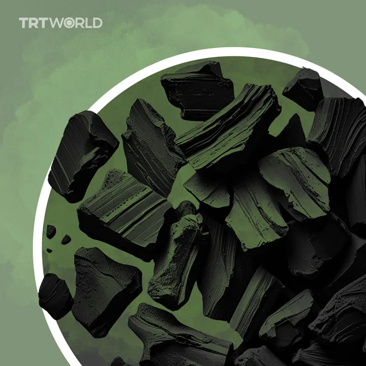 Sustainable solution for Africa's charcoal crisis