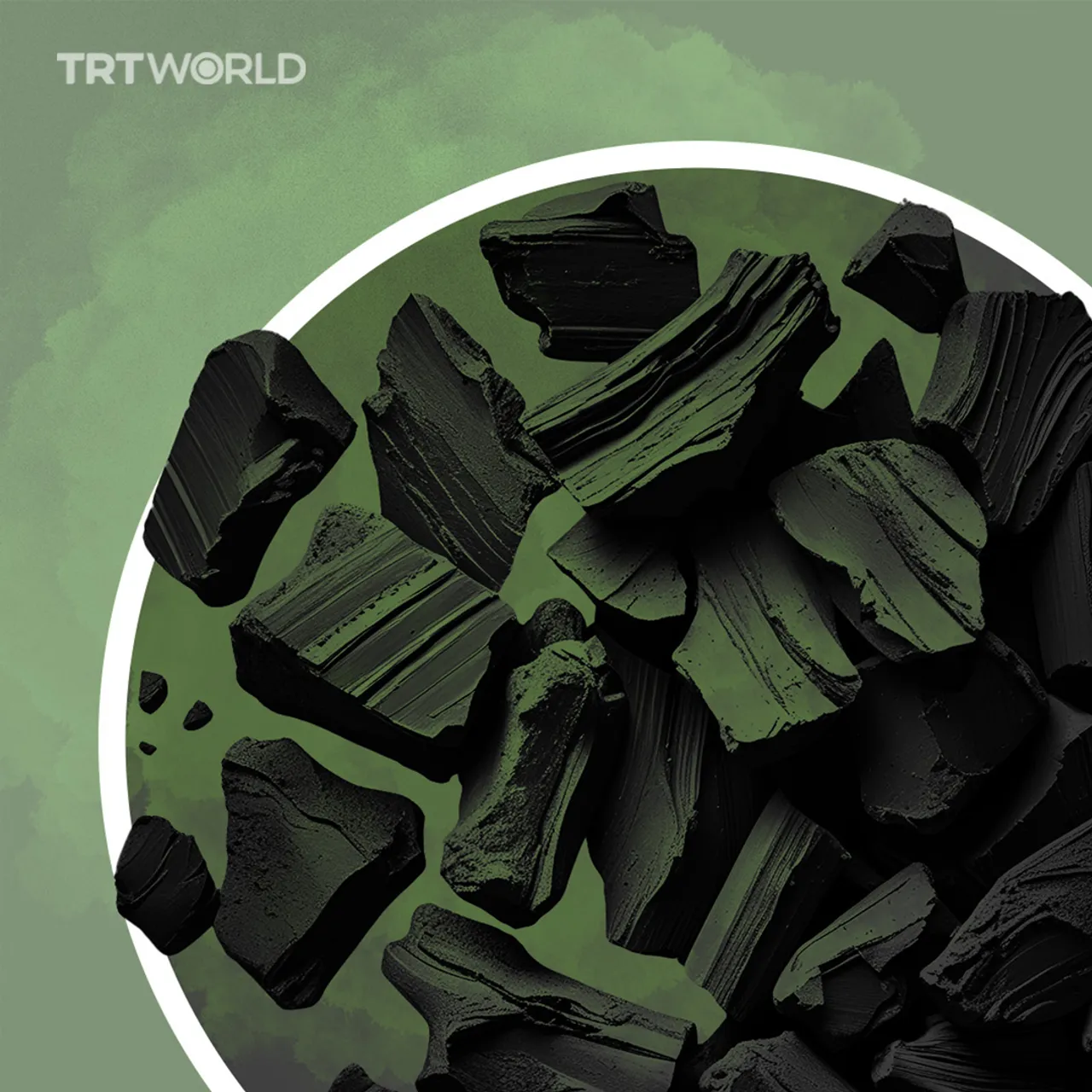 Sustainable solution for Africa's charcoal crisis