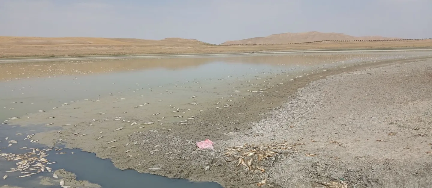 خطر خشک شدن دریاچه خندقلو در استان زنجان و مرگ ۱۵ هزار ماهی