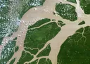 Governo brasileiro aprova perfuração de petróleo perto da foz do rio Amazonas semanas antes da COP30