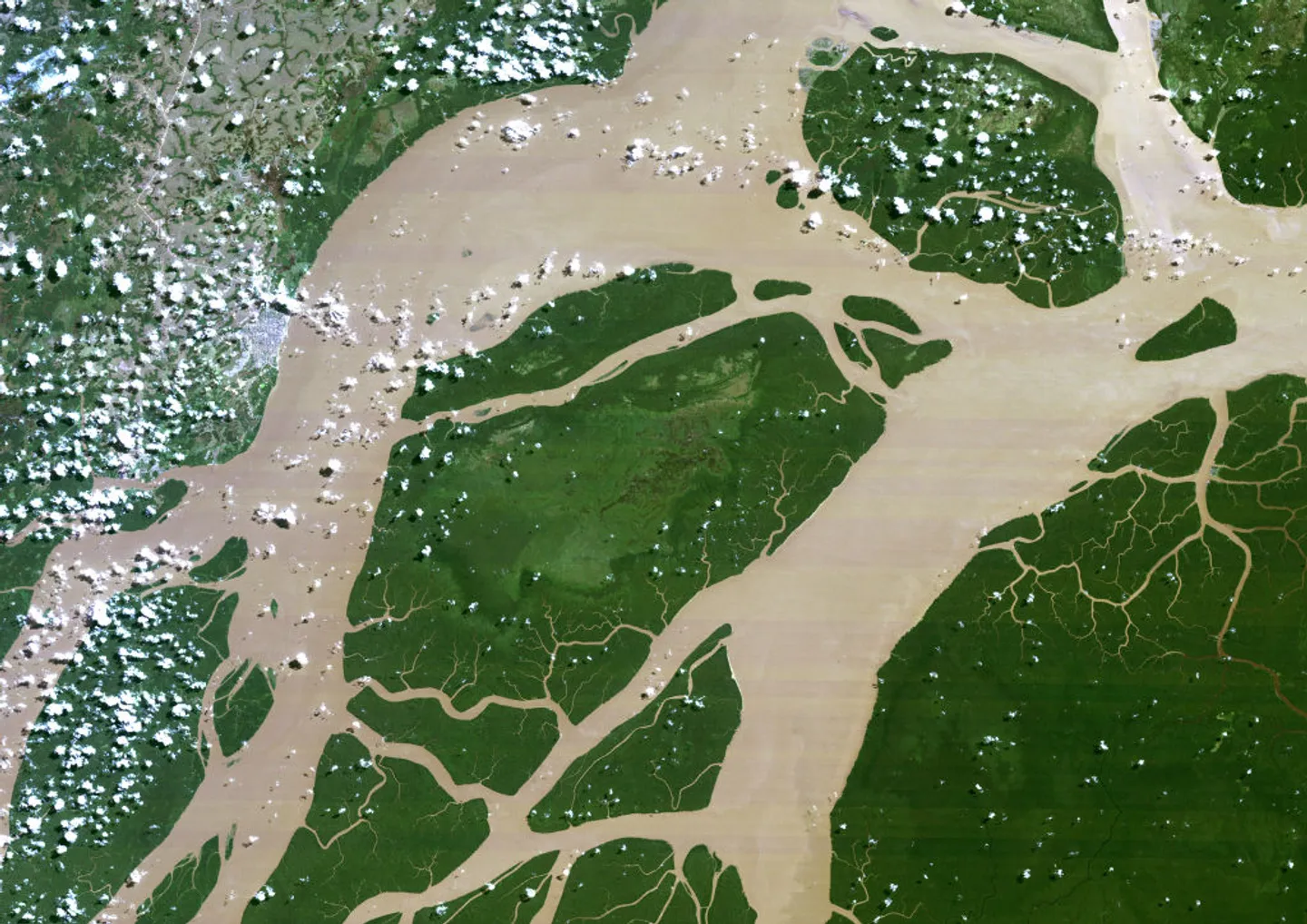 Governo brasileiro aprova perfuração de petróleo perto da foz do rio Amazonas semanas antes da COP30