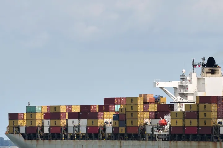 Douane onderschept 55 ton cocaïne en recordhoeveelheid marihuana in Antwerpse haven