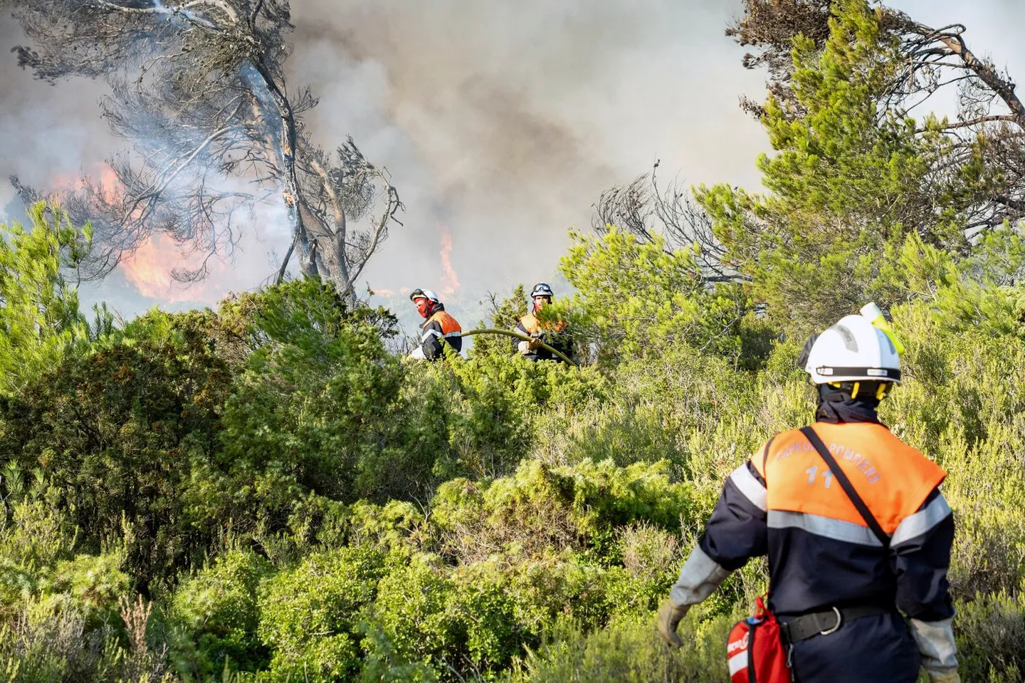France: le plus grand incendie de l’été fait un mort dans l’Aude