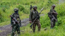 M23 rebels killed at least 319 people in eastern DRC in July: UN