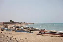Seven Ethiopian migrants die of hunger, thirst on boat