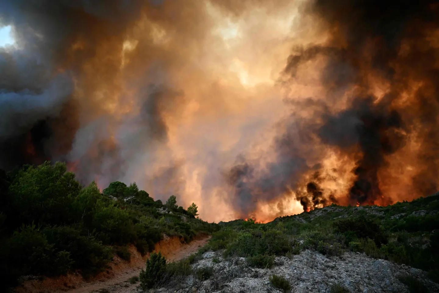 „Größtes Feuer seit 1949“: Flächenbrand wütet in Frankreich