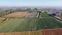 نابودی ۸۶ درصدی زمین‌های کشاورزی در غزه؛ فقط ۲ کیلومتر مربع قابل استفاده است