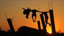 Над 800 спортисти од Газа го загубија животот во израелските воздушни напади и од неисхранетост