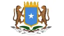 Soomaaliya oo tacsi u dirtay Ghana kaddib shil diyaaradeed oo khasaare badan dhaliyay