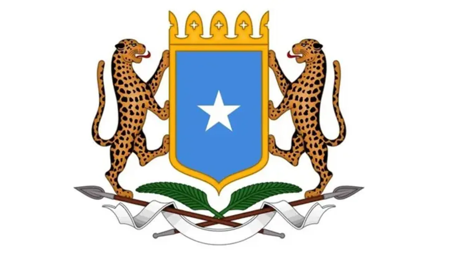 Soomaaliya oo tacsi u dirtay Ghana kaddib shil diyaaradeed oo khasaare badan dhaliyay