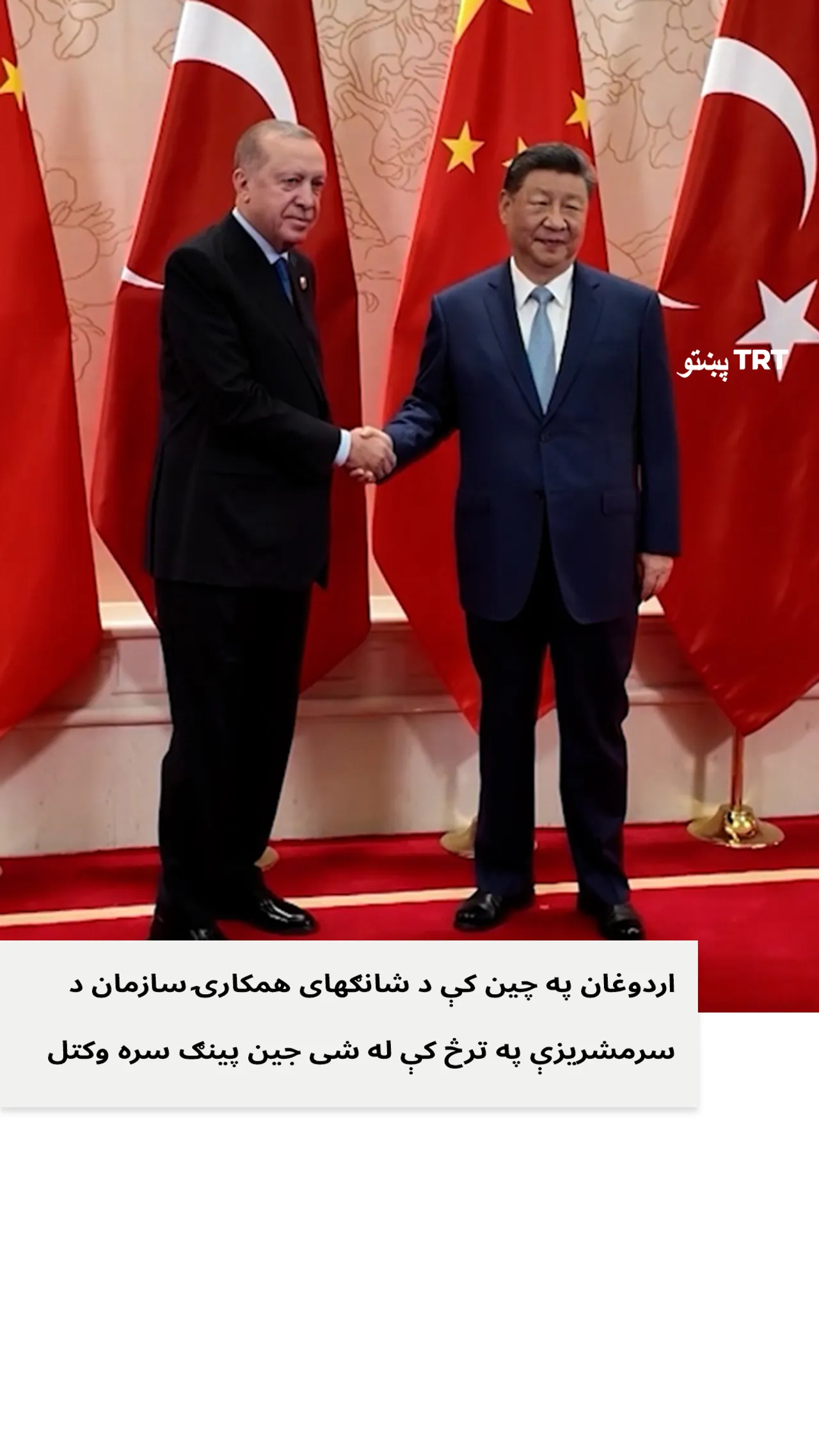 اردوغان په چین کې د شانګهای همکارۍ سازمان د سرمشریزې په څنده کې له شی جین پینګ سره وکتل