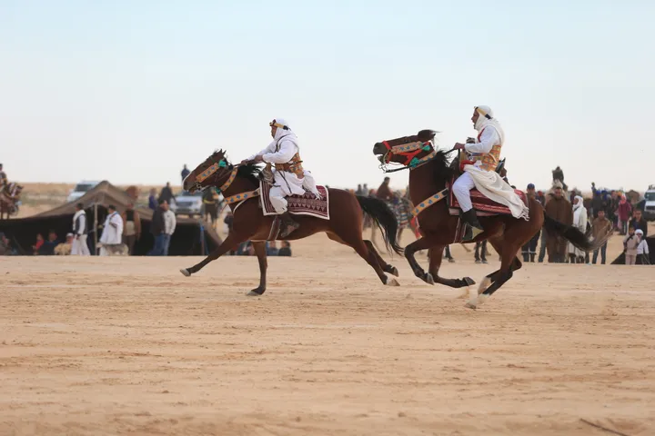 Le Festival du Sahara de Tunisie : Une célébration de la vie désertique