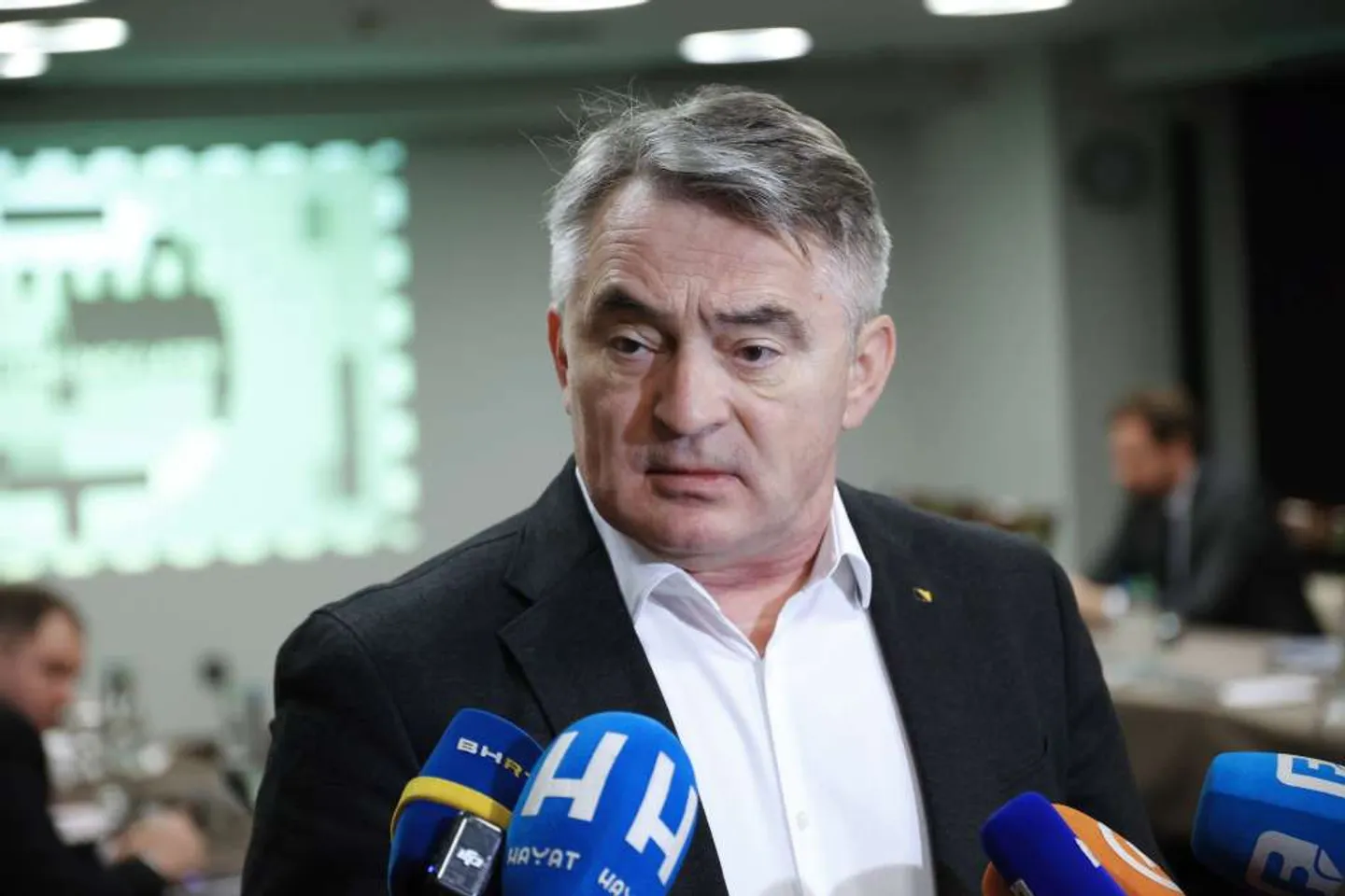Željko Komšić: Koordinirana akcija ruske diplomatije