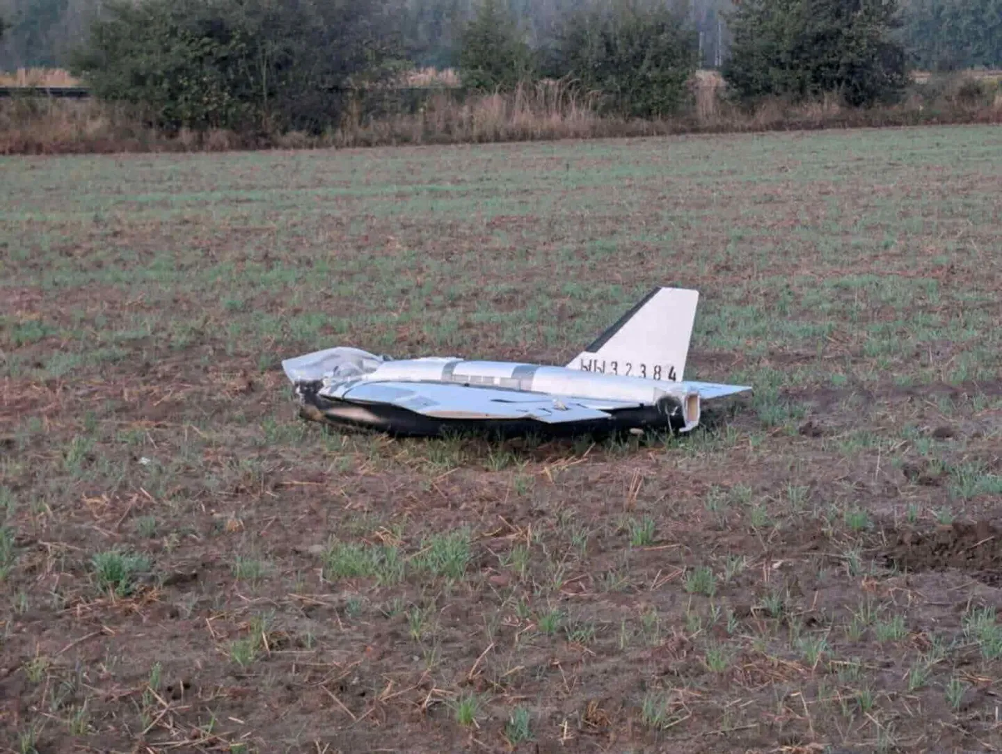 Skuteczna obrona przed dronami wymaga rozwiązania szeregu problemów - twierdzą eksperci