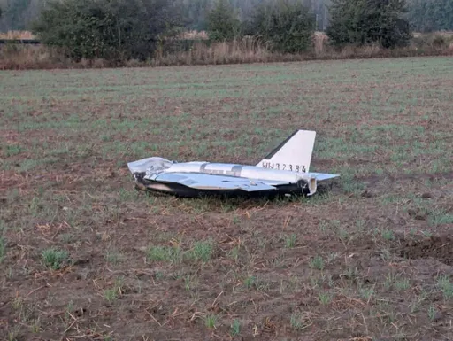 Skuteczna obrona przed dronami wymaga rozwiązania szeregu problemów - twierdzą eksperci