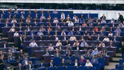 Row erupts as EU parliament refuses tribute to US right-wing activist Charlie Kirk