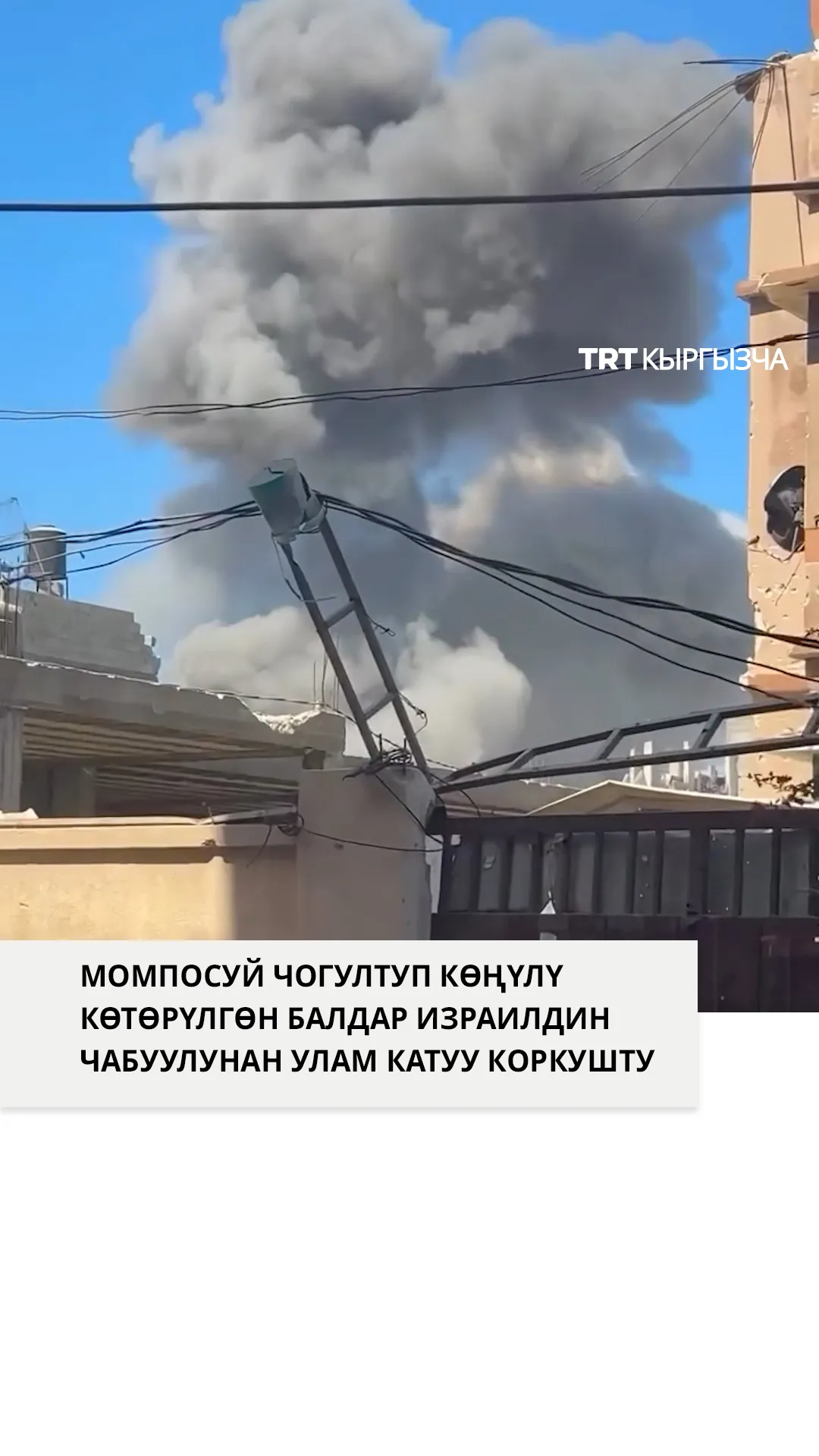 Палестиналык балдар