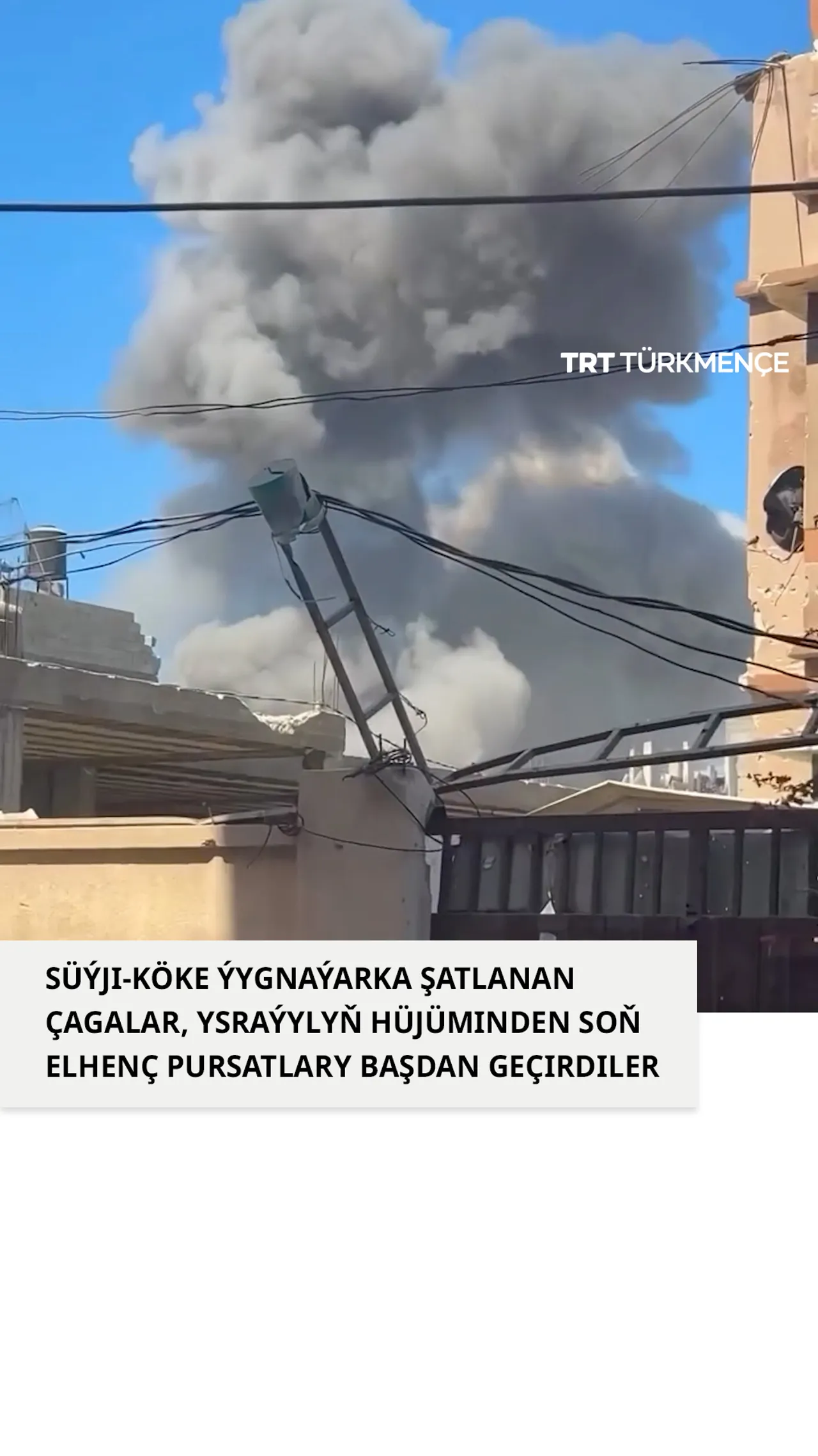 SÜÝJI-KÖKE ÝYGNAÝARKA ŞATLANAN ÇAGALAR, YSRAÝYLYŇ HÜJÜMINDEN SOŇ ELHENÇ PURSATLARY BAŞDAN GEÇIRDILER