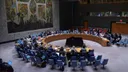 Përfaqësuesi i Pakistanit në KS-OKB: Izraeli agresor dhe shkelës i ligjit ndërkombëtar