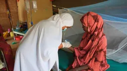 The Hidden Toll of Climate Change: Kala azar and Schistosomiasis
