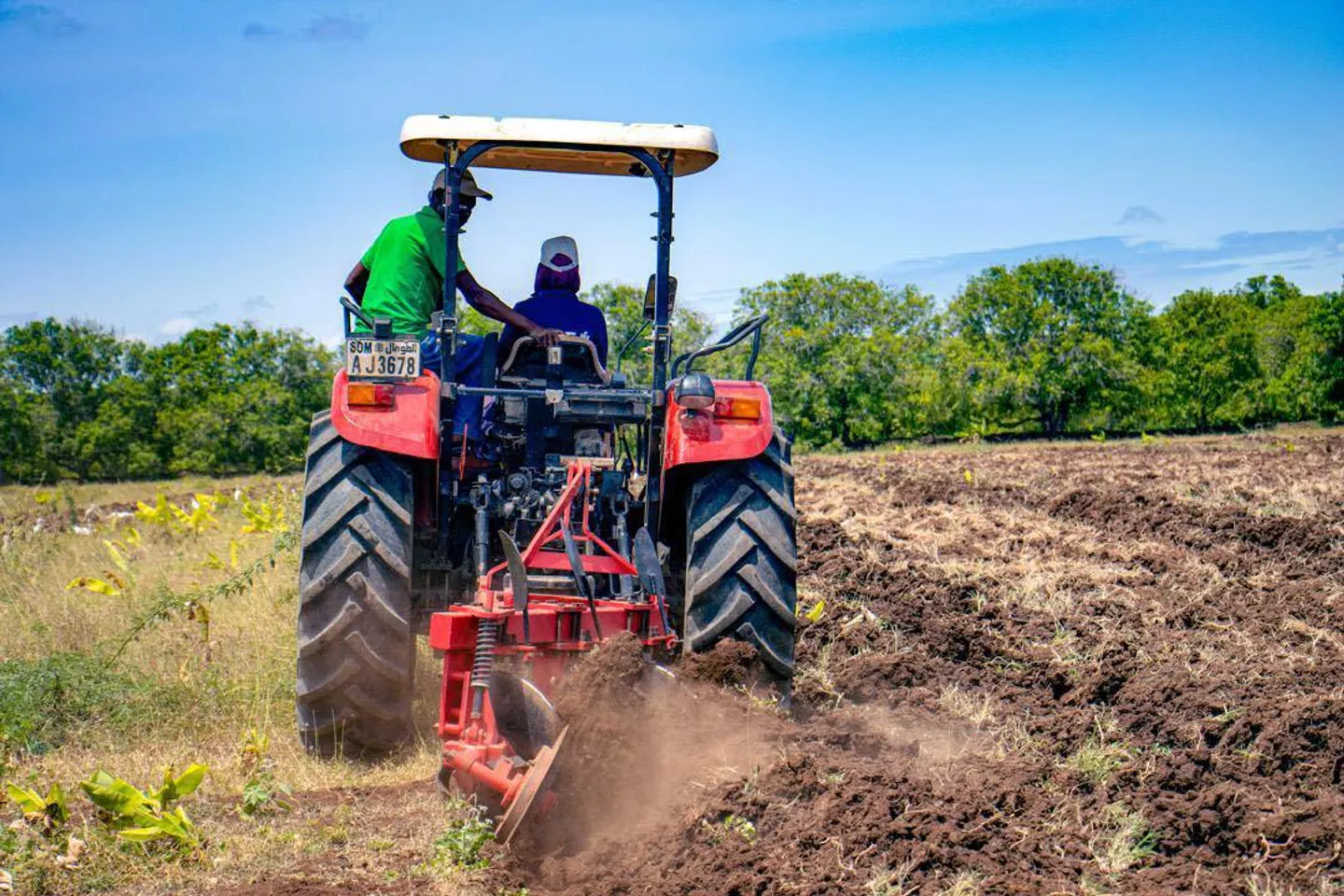 Somalia unveils agriculture scheme to make nation hunger-free